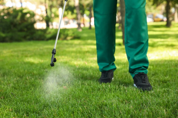 Best Flea Control Services  in Wildomar, CA