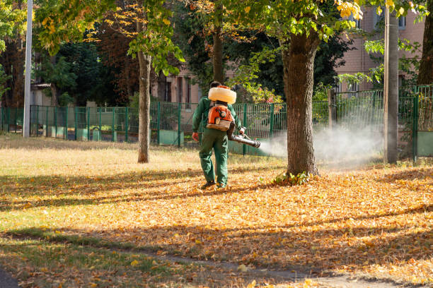 Pest Control for Restaurants in Wildomar, CA