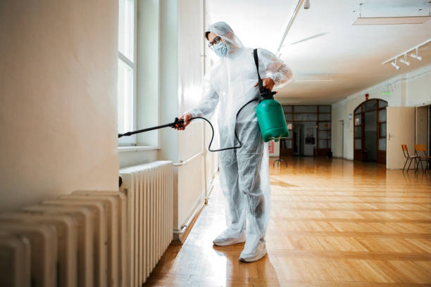 Best Pest Removal Services  in Wildomar, CA