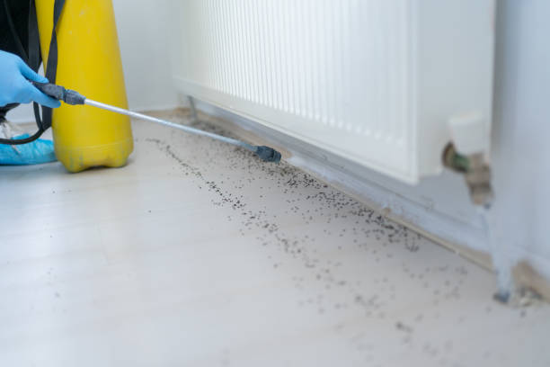 Best Wildlife Control Services  in Wildomar, CA